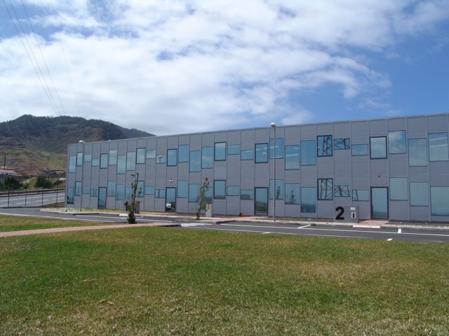 ZFI_11